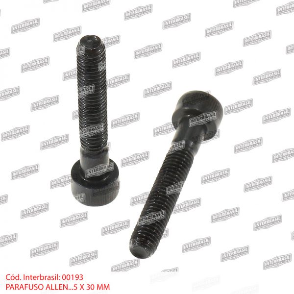 Parafuso allen 5x30mm