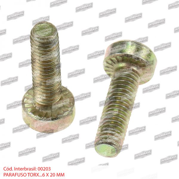 Parafuso torx 6x20mm