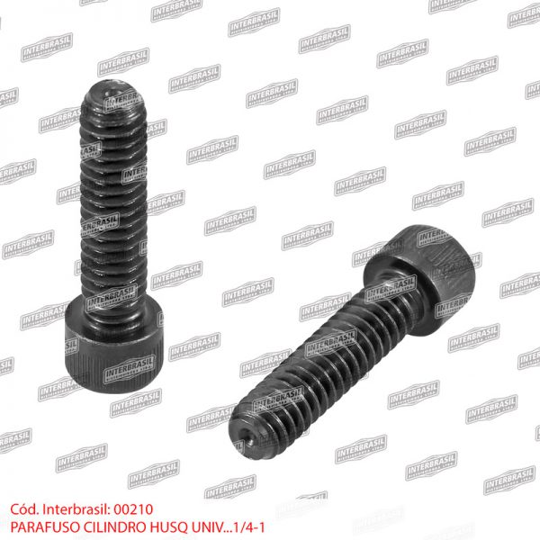 Parafuso cilindro Husq. 1/4''x1'' universal