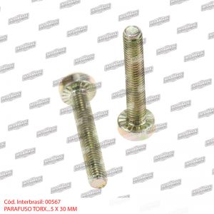 Parafuso torx 5x30mm