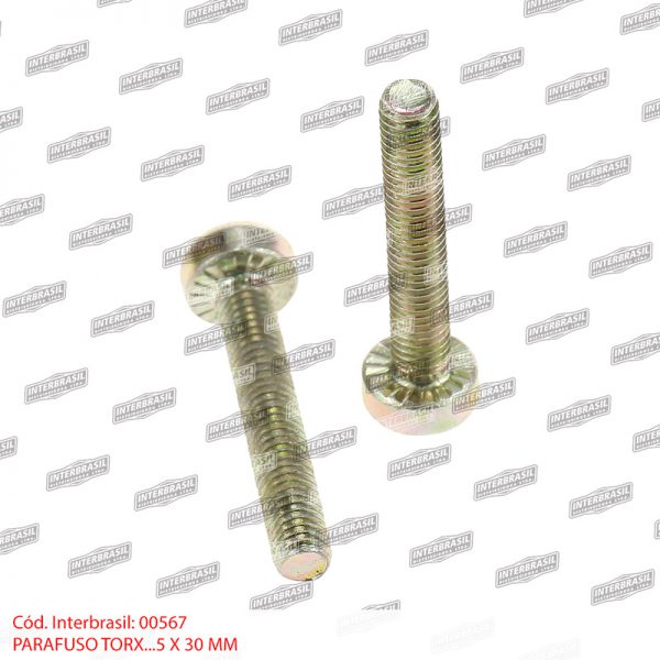 Parafuso torx 5x30mm
