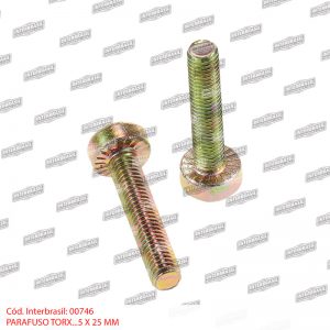 Parafuso torx 5x25mm