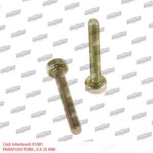 Parafuso torx 5x35mm