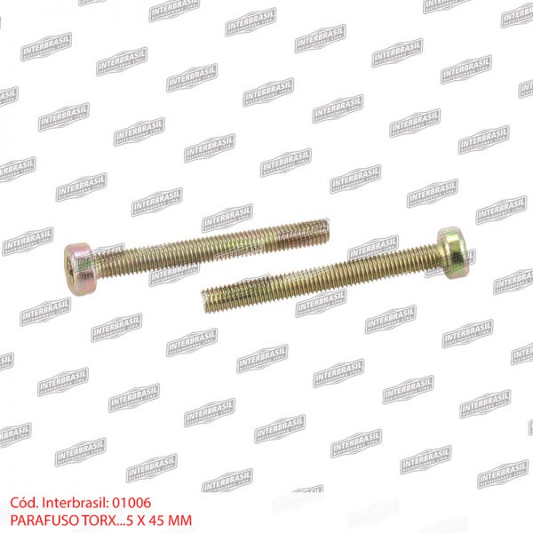 Parafuso torx 5x45mm