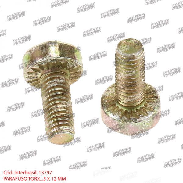 Parafuso torx 5x12mm