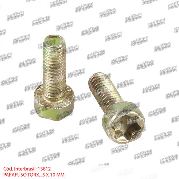Parafuso torx 5x10mm