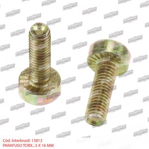 Parafuso torx 5x16mm